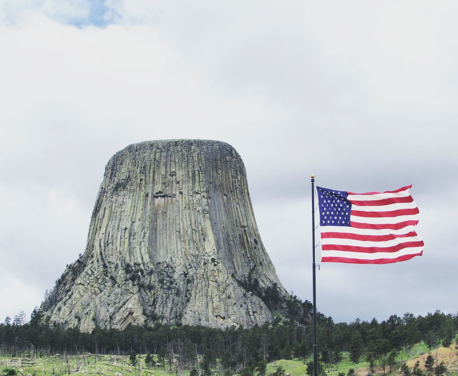 Devils Tower, June 2019